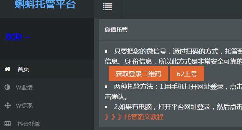 站群系统在新时代电商中的应用与影响